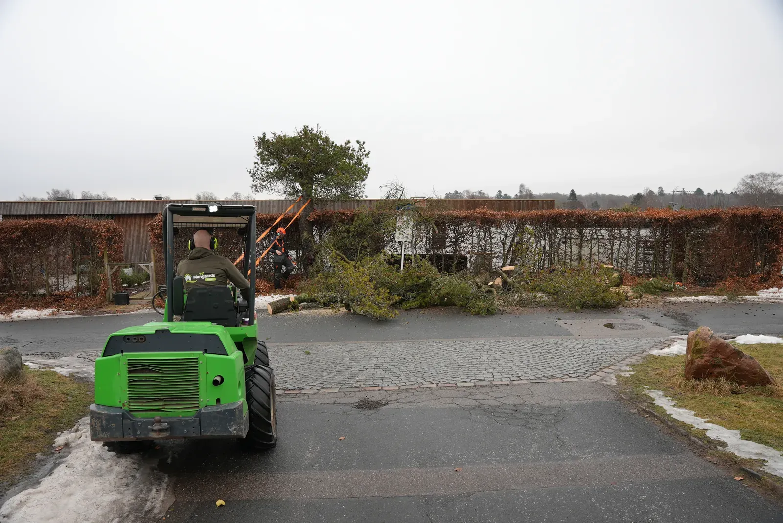 Hæk og træfældning