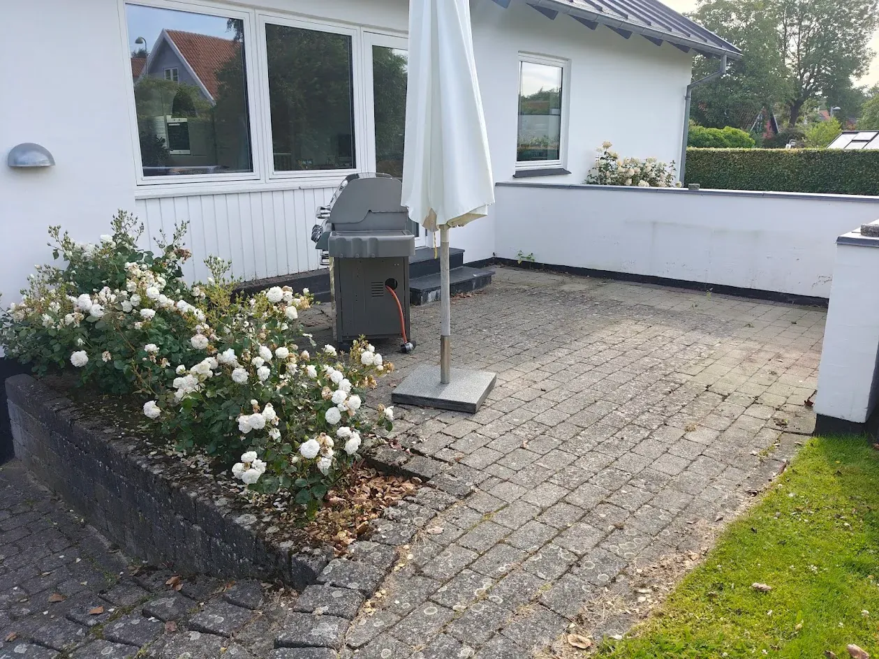 Terrasse med mos og alger mellem fliserne før fliserens