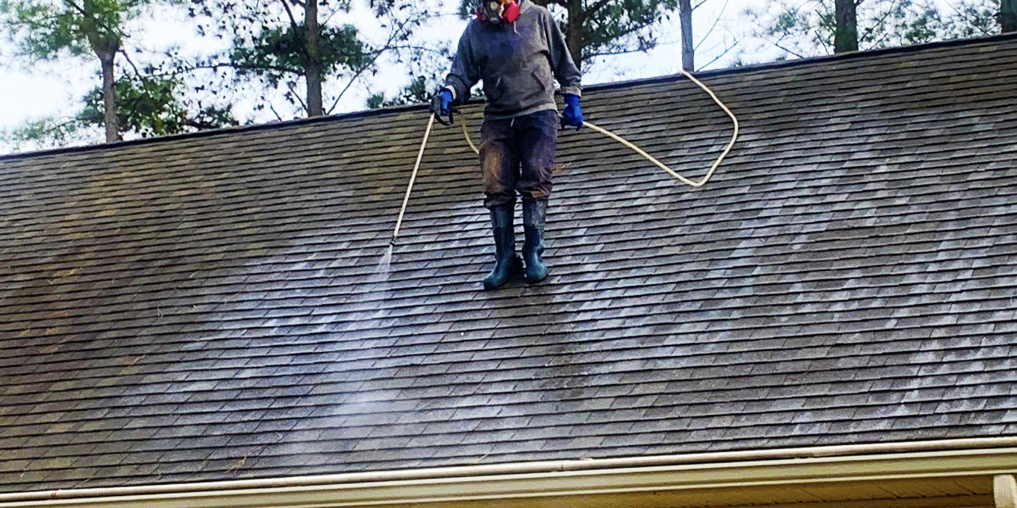 algebehandling. tag, algerensning, algerens