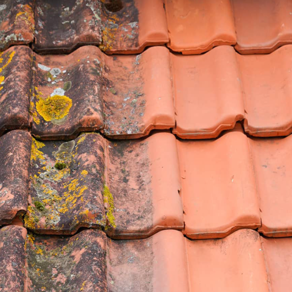 algebehandling. tag, algerensning, algerens 1