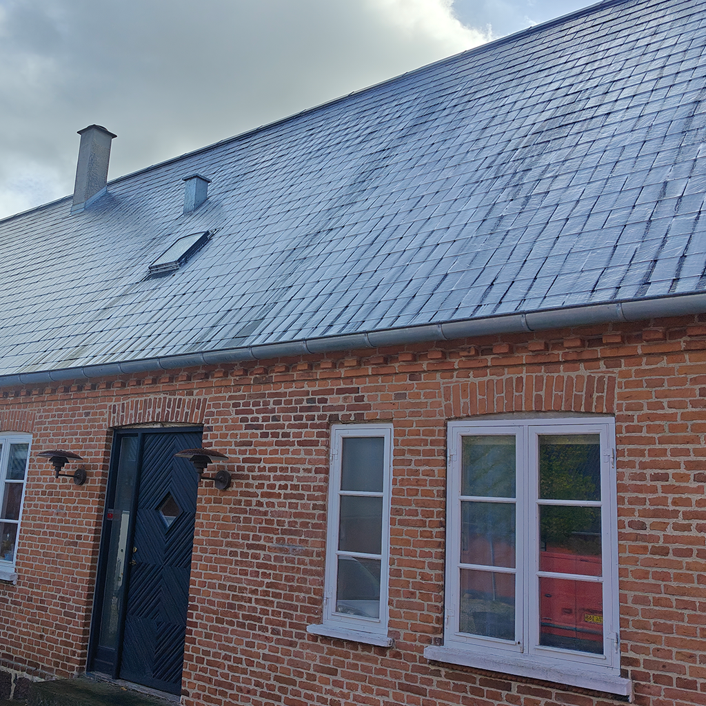 algebehandling. tag, algerensning, algerens 3