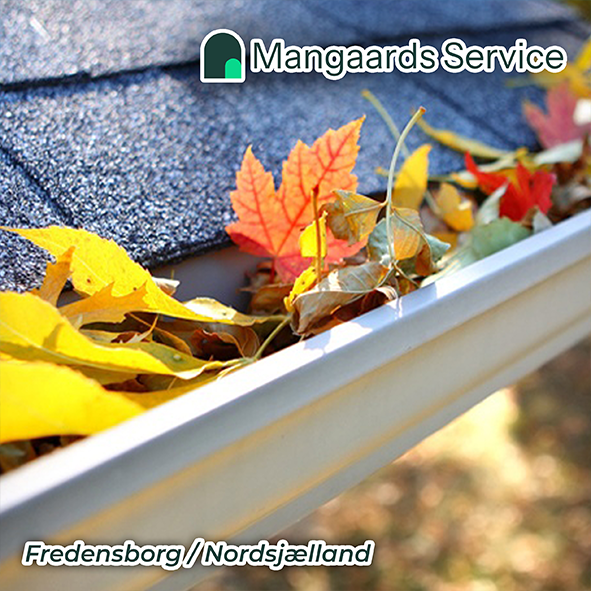 tagrenderens, algebehandling, terrasserens, fliser, flise, ny